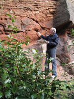 geology styal ps